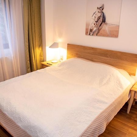 Classic Apartment Near The City Center Cluj-Napoca Buitenkant foto