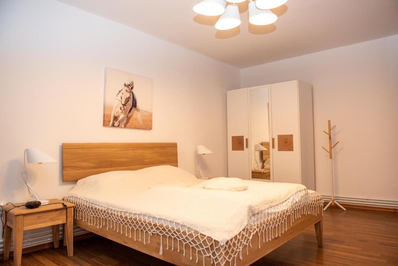Classic Apartment Near The City Center Cluj-Napoca Buitenkant foto
