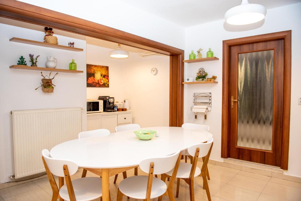 Classic Apartment Near The City Center Cluj-Napoca Buitenkant foto