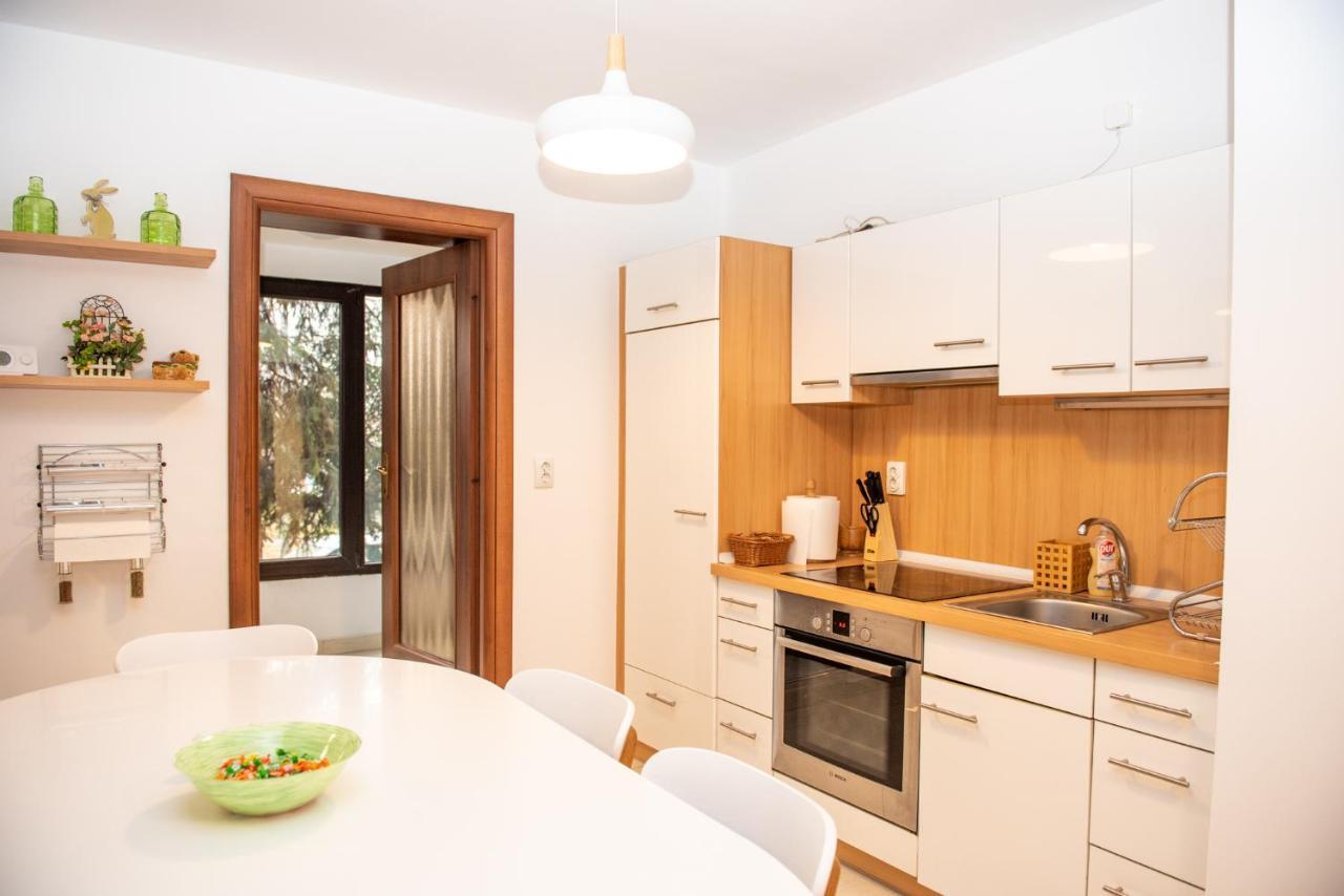 Classic Apartment Near The City Center Cluj-Napoca Buitenkant foto