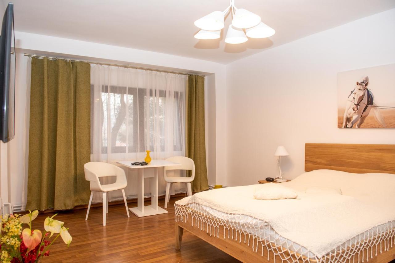 Classic Apartment Near The City Center Cluj-Napoca Buitenkant foto