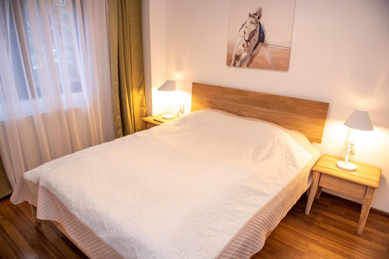 Classic Apartment Near The City Center Cluj-Napoca Buitenkant foto