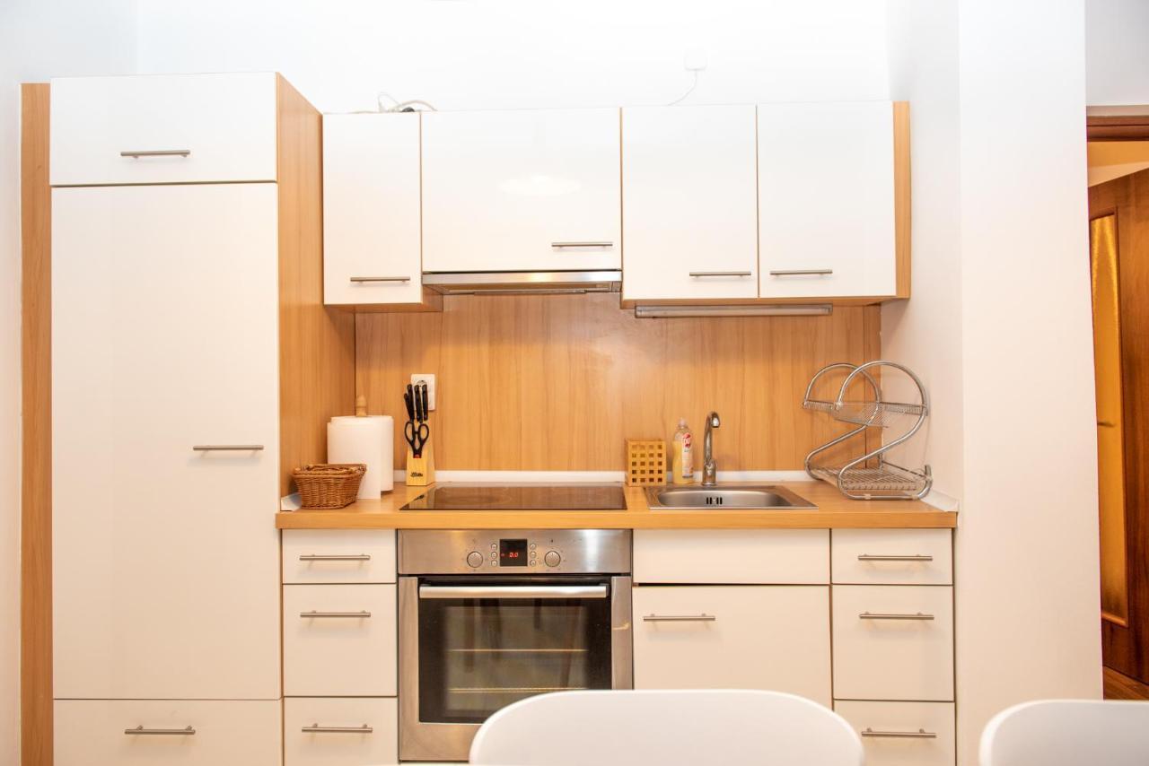 Classic Apartment Near The City Center Cluj-Napoca Buitenkant foto