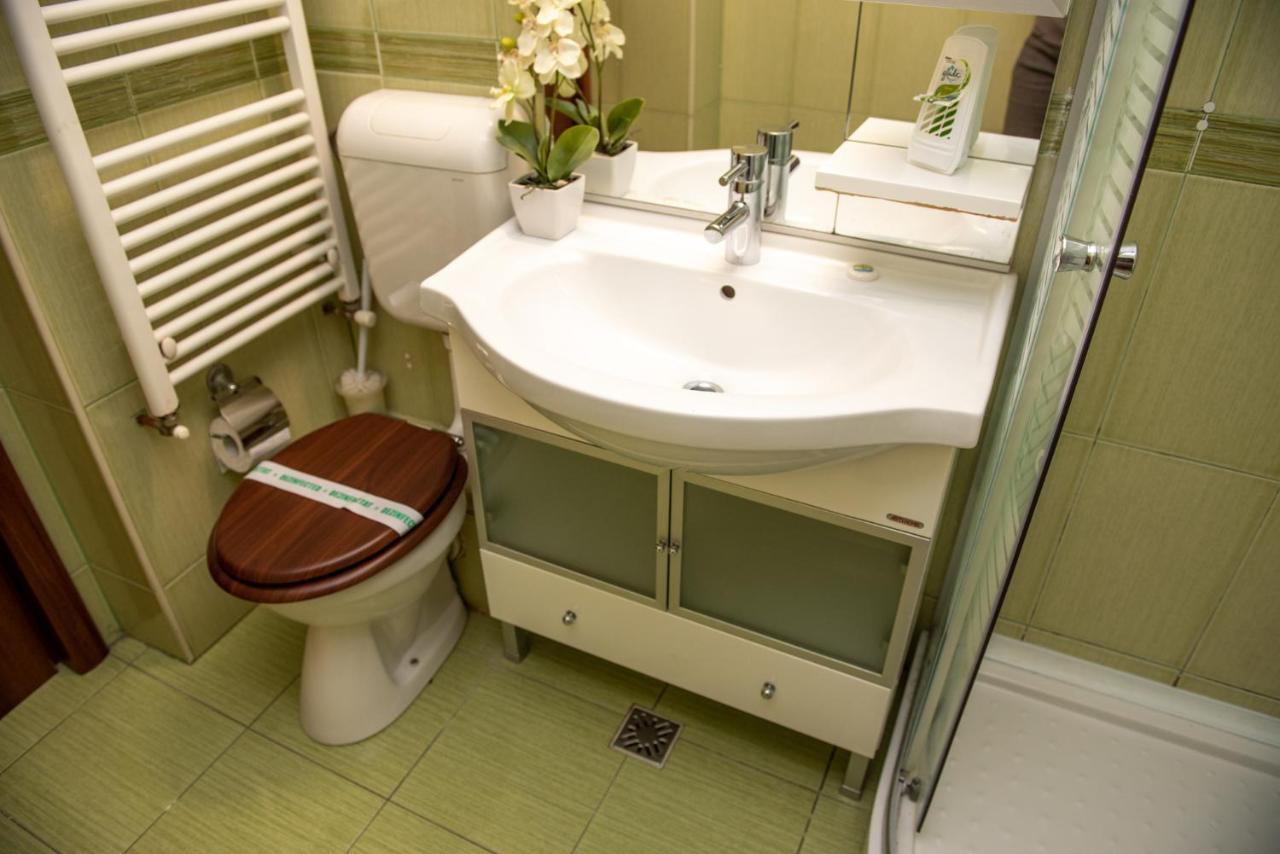 Classic Apartment Near The City Center Cluj-Napoca Buitenkant foto
